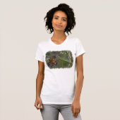 (昆虫)オオカバマダラ、モナーク蝶の草白い縁 Tシャツ (正面フル)