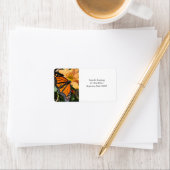 （昆虫）オオカバマダラ、モナーク蝶の菊の花 ラベル (インサイチュ)