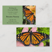 （昆虫）オオカバマダラ、モナーク蝶の菊の花 名刺 (正面/裏面)