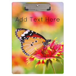 （昆虫）オオカバマダラ、モナーク蝶の赤と黄色の花 クリップボード