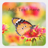 (昆虫)オオカバマダラ、モナーク蝶の赤と黄色の花 スクエアシール (正面)