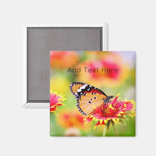 (昆虫)オオカバマダラ、モナーク蝶の赤と黄色の花 マグネット (正面/裏面)