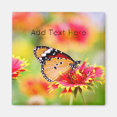 (昆虫)オオカバマダラ、モナーク蝶の赤と黄色の花 マグネット (正面)