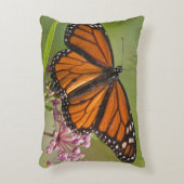 (昆虫)オオカバマダラ、モナーク蝶の雄オンスワンプミルクウィード アクセントクッション (正面(垂直))