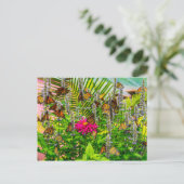 (昆虫)オオカバマダラ、モナーク蝶はがき ポストカード (スタンド正面)