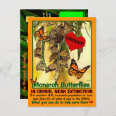 (昆虫)オオカバマダラ、モナーク蝶は絶滅危救済険にある – ポストカード (正面/裏面)