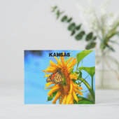 （昆虫）オオカバマダラ、モナーク蝶ひまわりクローズアップ ポストカード (スタンド正面)