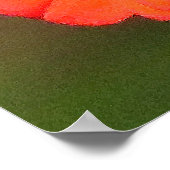 （昆虫）オオカバマダラ、モナーク蝶ひまわりフラワーポスター ポスター (角)