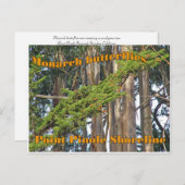 (昆虫)オオカバマダラ、モナーク蝶アットポイントピノールポストカード ポストカード (正面/裏面)