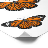 (昆虫)オオカバマダラ、モナーク蝶イラストレーション ポスター (角)