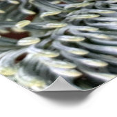 (昆虫)オオカバマダラ、モナーク蝶オンエバーグリーン ポスター (角)