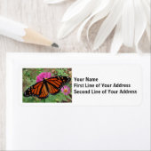 (昆虫)オオカバマダラ、モナーク蝶オンピンクの花 ラベル (インサイチュ)