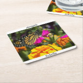 (昆虫)オオカバマダラ、モナーク蝶オンピンクマリゴールド花 スクエアペーパーコースター (アングル)