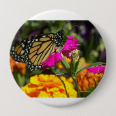 （昆虫）オオカバマダラ、モナーク蝶オンピンクマリゴールド花 缶バッジ (正面)