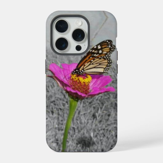（昆虫）オオカバマダラ、モナーク蝶オンピンク《植物》百日草 iPhoneケース (裏面)