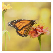 (昆虫)オオカバマダラ、モナーク蝶オン《植物》百日草 タイル (正面)