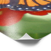 （昆虫）オオカバマダラ、モナーク蝶オン《植物》百日草 フォトプリント            (角)