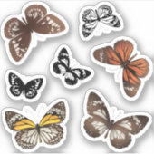 (昆虫)オオカバマダラ、モナーク蝶スティッカー蝶セットカラフル シール (正面)