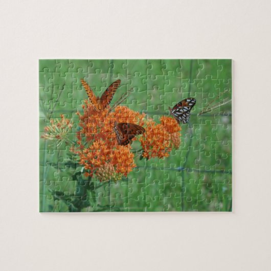 （昆虫）オオカバマダラ、モナーク蝶パズル ジグソーパズル (横)