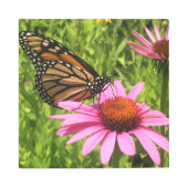 （昆虫）オオカバマダラ、モナーク蝶ピンクの花Jen Hanson撮影 メタルプリント (正面)