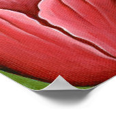 (昆虫)オオカバマダラ、モナーク蝶フェアリー猫ファンタジーアートポスター ポスター (角)