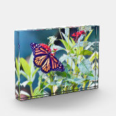 (昆虫)オオカバマダラ、モナーク蝶フォトブロック フォトブロック (左)