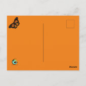 (昆虫)オオカバマダラ、モナーク蝶ミステリーアイズバイスリッパーウィンドウ ポストカード (裏面)