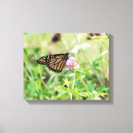 （昆虫）オオカバマダラ、モナーク蝶 キャンバスプリント