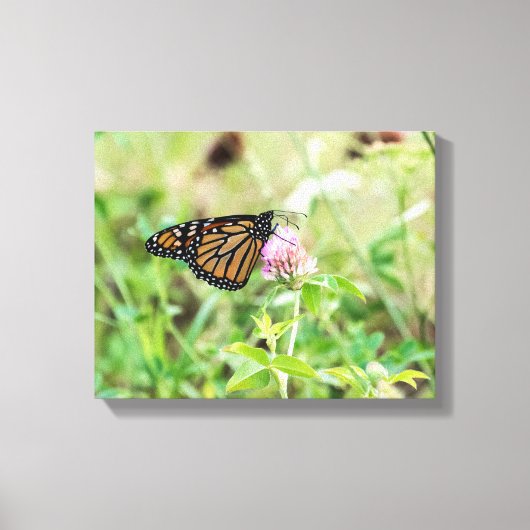 （昆虫）オオカバマダラ、モナーク蝶 キャンバスプリント (正面)