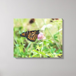 （昆虫）オオカバマダラ、モナーク蝶 キャンバスプリント