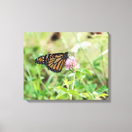 (昆虫)オオカバマダラ、モナーク蝶 キャンバスプリント (正面)