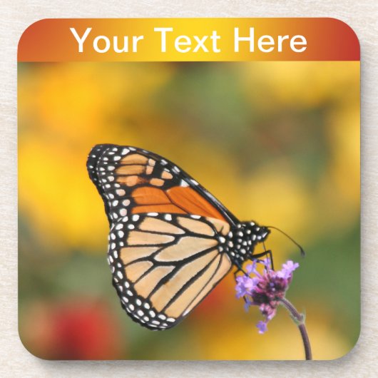 （昆虫）オオカバマダラ、モナーク蝶 コースター (正面)