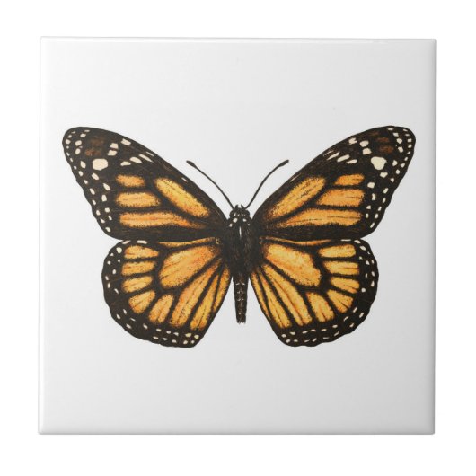 （昆虫）オオカバマダラ、モナーク蝶 タイル (正面)