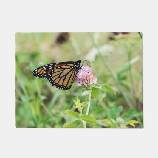 (昆虫)オオカバマダラ、モナーク蝶 ドアマット (正面)