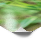 （昆虫）オオカバマダラ、モナーク蝶 フォトプリント            (角)