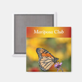 （昆虫）オオカバマダラ、モナーク蝶 マグネット (正面/裏面)