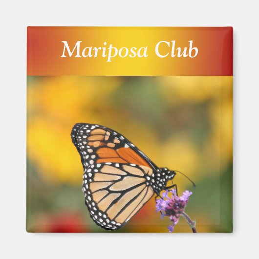 （昆虫）オオカバマダラ、モナーク蝶 マグネット (正面)