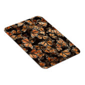 (昆虫)オオカバマダラ、モナーク蝶 マグネット (右側)