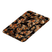 (昆虫)オオカバマダラ、モナーク蝶 マグネット (左側)