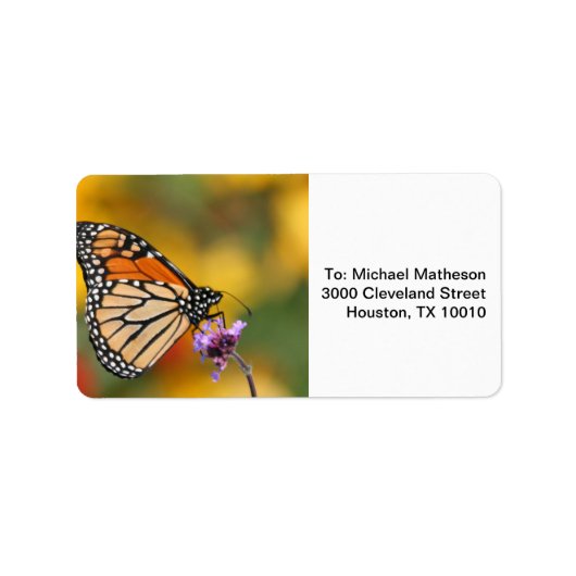 （昆虫）オオカバマダラ、モナーク蝶 ラベル (正面)