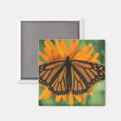 (昆虫)オオカバマダラ、モナーク蝶(Danaus plexippus)ポット マグネット (正面/裏面)