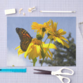 （昆虫）オオカバマダラ、モナーク蝶Nひまわり 薄葉紙 (クラフト)