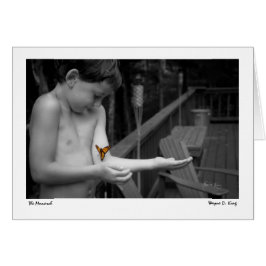 （昆虫）オオカバマダラ、モナーク