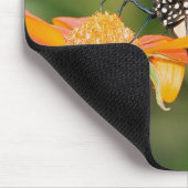 （昆虫）オオカバマダラ、モナーク3のマウスパッド マウスパッド (コーナー)