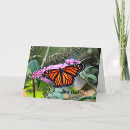 （昆虫）オオカバマダラ、モナーク5100の結婚のお祝いカード カード