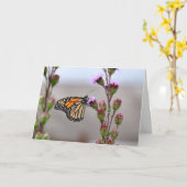 （昆虫）オオカバマダラ、モナーク カード (黄色い花)