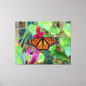 （昆虫）オオカバマダラ、モナーク キャンバスプリント (正面)