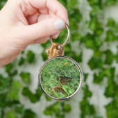 （昆虫）オオカバマダラ、モナーク キーホルダー (手)