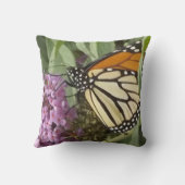 （昆虫）オオカバマダラ、モナーク クッション (裏面)