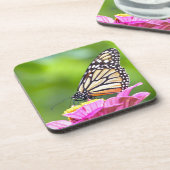 （昆虫）オオカバマダラ、モナーク コースター (左側)